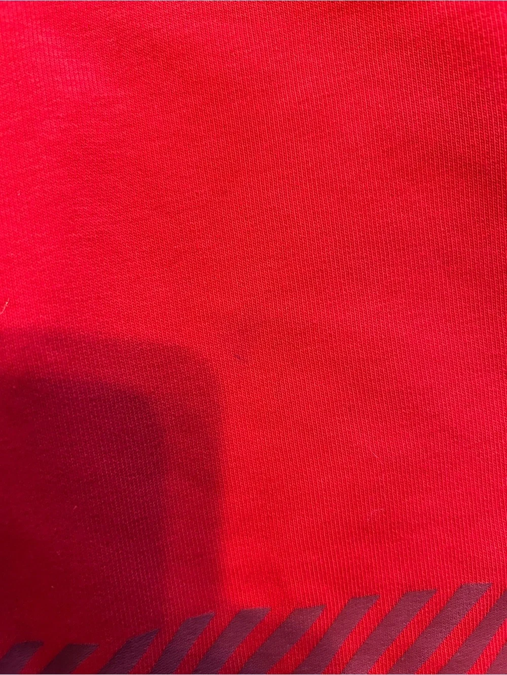 Puma austria soccer